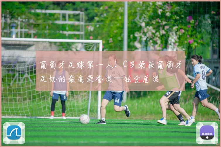 葡萄牙足球第一人！C罗荣获葡萄牙足协的最高荣誉奖--铂金盾奖