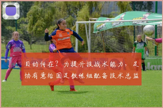 目的何在？为提升技战术能力，足协有意给国足教练组配备技术总监